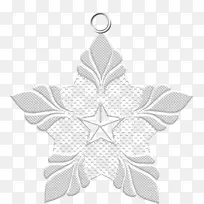 对称白线叶型-空若网 对称白线叶型-空若网