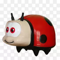 瓢虫昆虫摄影.瓢虫-空若网 瓢虫昆虫摄影.瓢虫-空若网