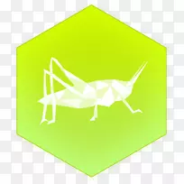 昆虫纸艺术-昆虫-空若网 昆虫纸艺术-昆虫-空若网