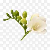 计算机图形学-空若网 计算机图形学-空若网