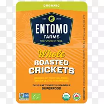 �������ʳ������-������