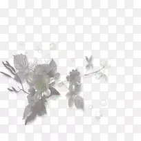 小枝桌面壁纸电脑叶花瓣-空若网 小枝桌面壁纸电脑叶花瓣-空若网