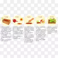 菜谱超级食物水果-空若网 菜谱超级食物水果-空若网