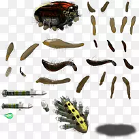 昆虫字体-空若网 昆虫字体-空若网