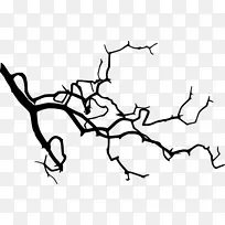 ��֦����ӰҶ��-������