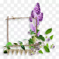 开花植物木材-空若网 开花植物木材-空若网