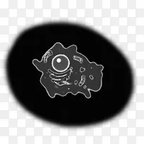 白色字体设计-空若网 白色字体设计-空若网