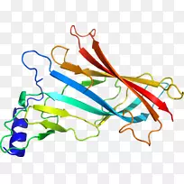 �ߵ������������-������