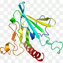 直线点植物茎夹艺术线-空若网 直线点植物茎夹艺术线-空若网