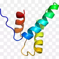 人体首饰有机体线剪贴画线-空若网 人体首饰有机体线剪贴画线-空若网