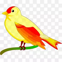 鸟类飞行动画剪辑-免费鸟类剪贴画-空若网 鸟类飞行动画剪辑-免费鸟类剪贴画-空若网