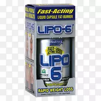 ����﮾ۺ������о�����-������