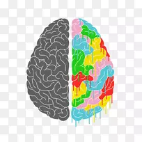 脑功能侧面化人脑海报.数学透明图片-空若网 脑功能侧面化人脑海报.数学透明图片-空若网
