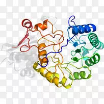 线点剪贴画-线-空若网 线点剪贴画-线-空若网