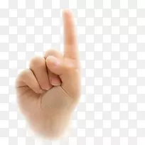 Ĵָ��ģ��-��-������