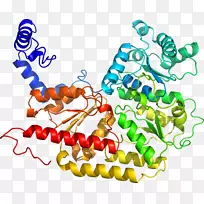 人体首饰有机体线剪贴画线-空若网 人体首饰有机体线剪贴画线-空若网