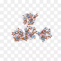 车身珠宝线字体-珠宝-空若网 车身珠宝线字体-珠宝-空若网