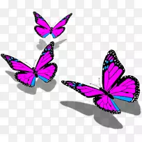 �������������������ܶ�-������