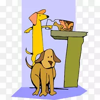 ������ѧ������.���������-������