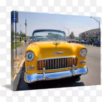 �Ŷ���ѩ�������������Ŷ���-������