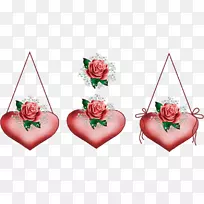 ������ֽ�ɶ����˽ڿ���-������