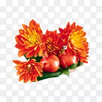 花卉设计大丽花菊花-菊花-空若网 花卉设计大丽花菊花-菊花-空若网