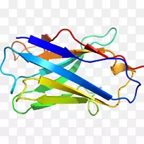 线点剪贴画-线-空若网 线点剪贴画-线-空若网