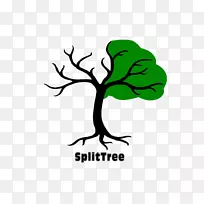 树枝剪贴画-空若网 树枝剪贴画-空若网