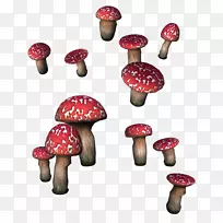 �㹽ţ�ξ�������-Ģ��-������