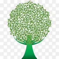 树桌面壁纸-树-空若网 树桌面壁纸-树-空若网