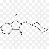 乙酰半胱氨酸抗氧化氨基酸谷氨酰胺-空若网 乙酰半胱氨酸抗氧化氨基酸谷氨酰胺-空若网