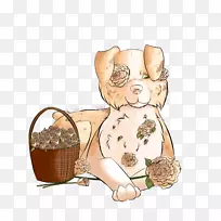 食用动物-空若网 食用动物-空若网