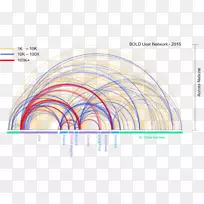 平面设计线.国外社交网站-空若网 平面设计线.国外社交网站-空若网