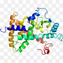 人体首饰有机体线剪贴画线-空若网 人体首饰有机体线剪贴画线-空若网