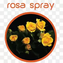 花园玫瑰花切花玫瑰-空若网 花园玫瑰花切花玫瑰-空若网