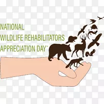 ��è����־����-��-������