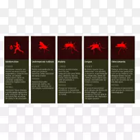 广告平面设计品牌设计-空若网 广告平面设计品牌设计-空若网