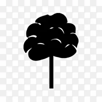 ��ɫ����-����-������