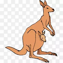 澳大利亚袋鼠剪贴画-跳跃剪贴画-空若网 澳大利亚袋鼠剪贴画-跳跃剪贴画-空若网
