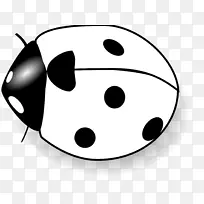 瓢虫剪贴画-空若网 瓢虫剪贴画-空若网