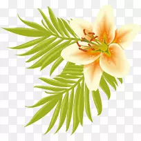 ��������л��������-������