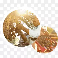 食物-空若网 食物-空若网