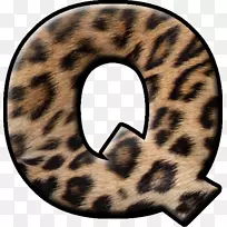 猫毛陆生动物颈字体-空若网 猫毛陆生动物颈字体-空若网