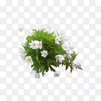 ��������л������˹�����-������