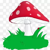 ��ֽ����-������