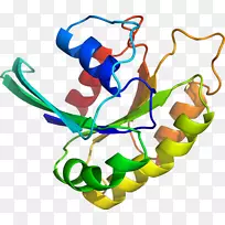 人体首饰有机体线剪贴画线-空若网 人体首饰有机体线剪贴画线-空若网