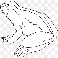 青蛙黑白剪贴画-凹凸不平的青蛙剪贴画-空若网 青蛙黑白剪贴画-凹凸不平的青蛙剪贴画-空若网