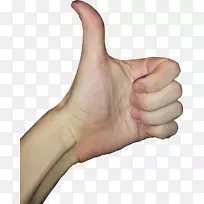 Ĵָ��ģ��-��-������