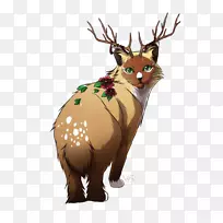 驯鹿,麋鹿,鹿角,鼻子-驯鹿-空若网 驯鹿,麋鹿,鹿角,鼻子-驯鹿-空若网