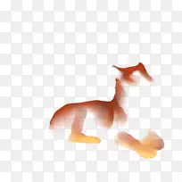 狗手指桌面壁纸电脑-狗-空若网 狗手指桌面壁纸电脑-狗-空若网